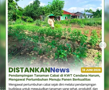 Monitoring Persiapan Lahan Poktan Palas Mandiri