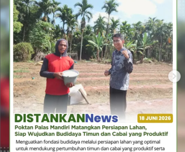 panen padi di lahan seluas 1,2 hektare yang berlokasi di Kelurahan Sialang Rampai