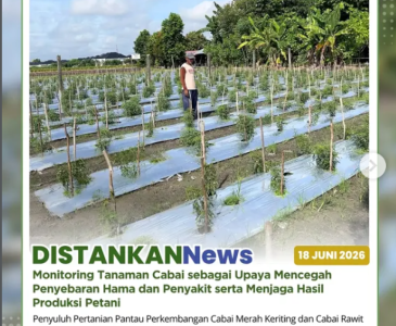 Pendampingan Peternak Poktan Aur Kuning