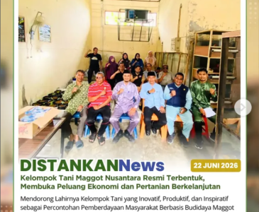 Padi dalam Ember, Solusi Cerdas Menumbuhkan Ketahanan Pangan dari Pekarangan Rumah