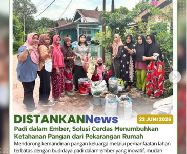 pengembangan Budidaya Ikan dalam Ember (Budikdamber)