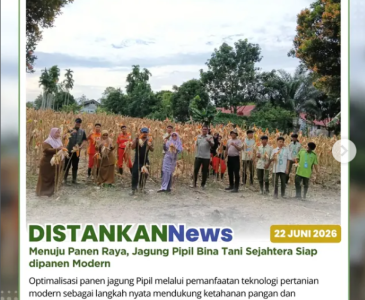 Panen Raya Jagung Kuartal II 2026