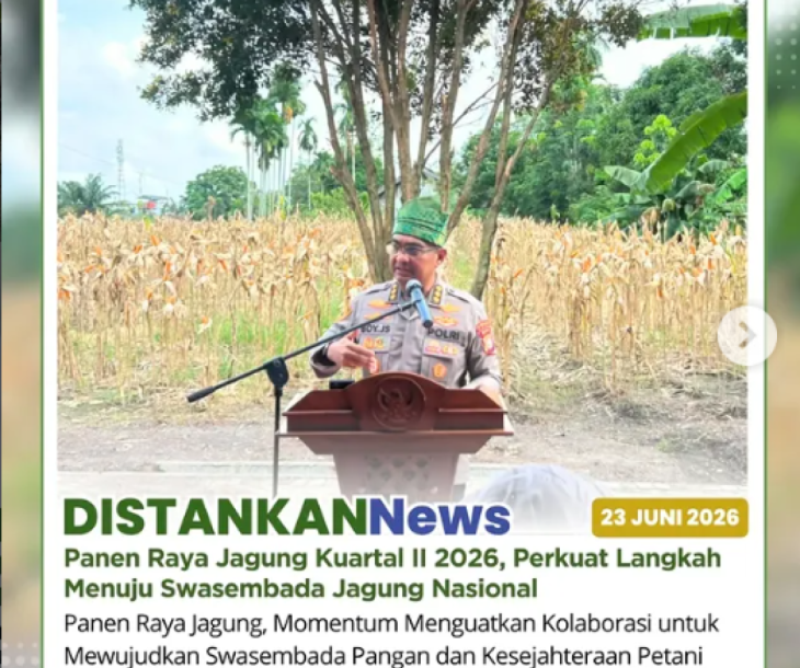 Panen Raya Jagung Kuartal II 2026