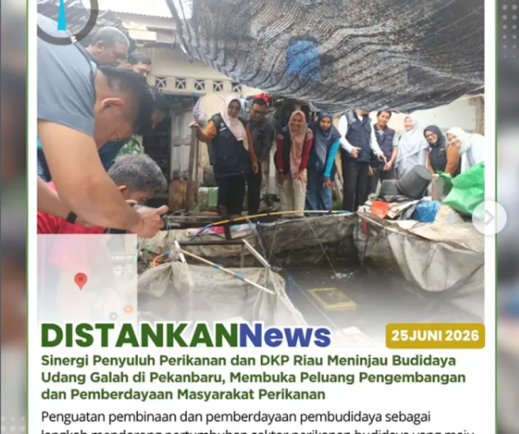 Tim Penyuluh Perikanan Kota Pekanbaru mendampingi kunjungan UPT Budidaya DKP Provinsi Riau ke lokasi budidaya udang galah