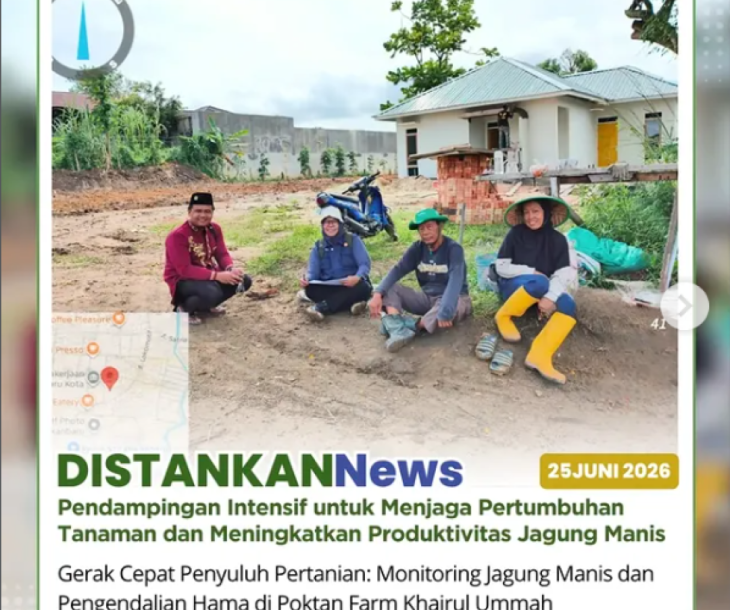 Penyuluh Pertanian Kecamatan Limapuluh terus melakukan pendampingan kepada petani