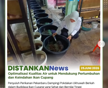 Pendampingan nyata melalui berbagai kegiatan di Kecamatan Sail