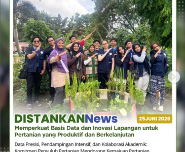 Penyuluh Pertanian Kecamatan Limapuluh terus melakukan pendampingan kepada petani