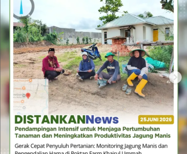 Panen di lahan seluas 1 hektare di Kelompok Tani Marpoyan Indah