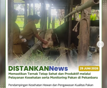 Penyuluh Perikanan Fasilitasi Studi Tiru Budidaya Lele