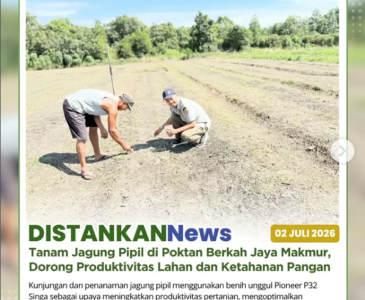 Kegiatan verifikasi tanah sisa di Kelurahan Agrowisata