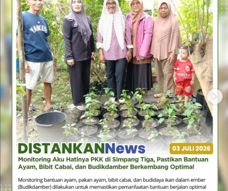 Monitoring bantuan ayam, pakan ayam, bibit cabai, serta Budidaya Ikan Dalam Ember (Budikdamber) di lokasi Aku Hatinya PKK Cempaka Simpatig