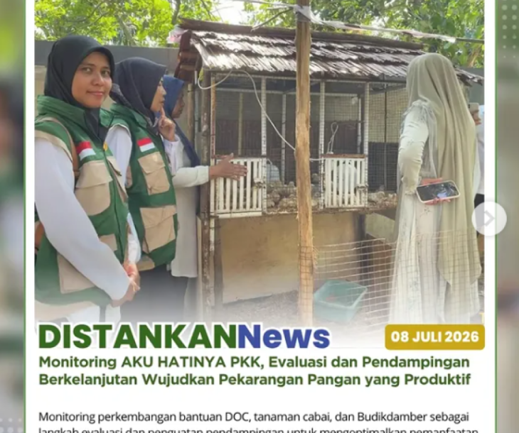 Monitoring bantuan DOC, bibit cabai, dan Budikdamber di Kecamatan Marpoyan Damai