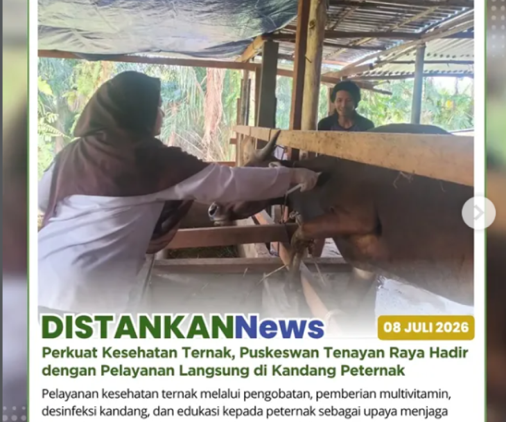 Puskeswan Tenayan Raya Hadir dengan Pelayanan Langsung di Kandang Peternak