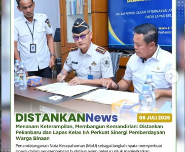 Monitoring bantuan DOC, bibit cabai, dan Budikdamber di Kecamatan Marpoyan Damai