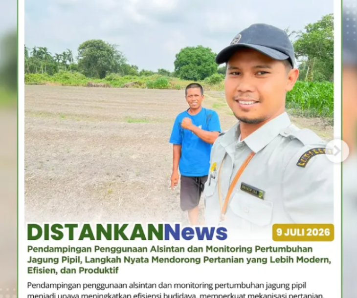 Monitoring pertumbuhan jagung pipil di Kelompok Tani Berkah Jaya Makmur