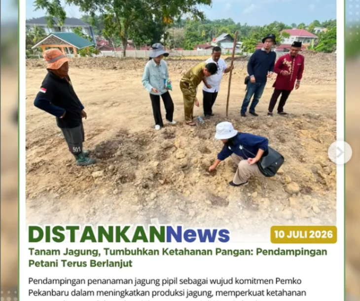 Kunjungan dan pendampingan penanaman jagung pipil di lahan Poktan Farm Ku