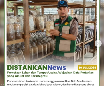 Kunjungan dan pendampingan penanaman jagung pipil di lahan Poktan Farm Ku
