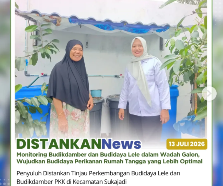 Budikdamber dan budidaya lele dalam wadah galon