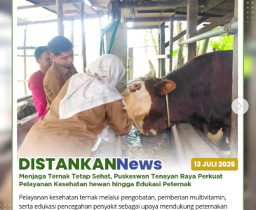 Budikdamber dan budidaya lele dalam wadah galon