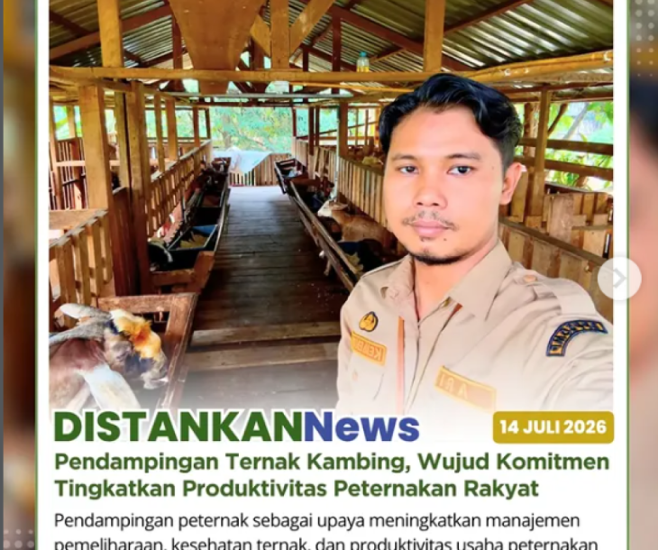 Pendampingan Ternak Kambing Terus Dilaksanakan, Perkuat Produktivitas dan Kesejahteraan Peternak