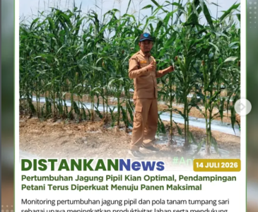 Pendampingan Ternak Kambing Terus Dilaksanakan, Perkuat Produktivitas dan Kesejahteraan Peternak