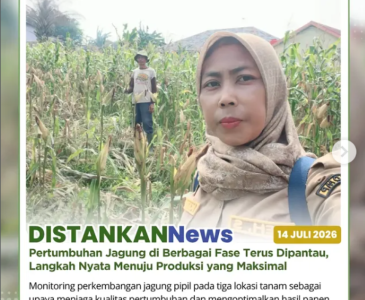 Pendampingan Ternak Kambing Terus Dilaksanakan, Perkuat Produktivitas dan Kesejahteraan Peternak
