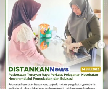 Budikdamber Terus Dipantau, Perkuat Produktivitas dan Keberlanjutan Budidaya Masyarakat