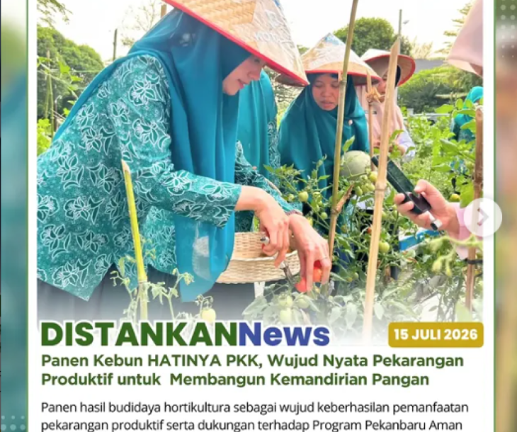 Panen Kebun HATINYA PKK, Wujud Nyata Pekarangan Produktif untuk Kemandirian Pangan Keluarga