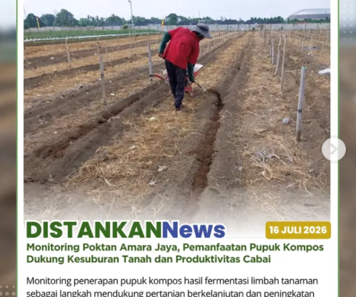 Monitoring di Poktan Amara Jaya
