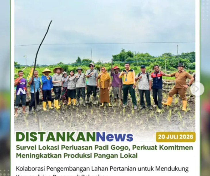Survei Calon Lokasi Perluasan Luas Tanam Padi Gogo Bersama BRMP Provinsi Riau