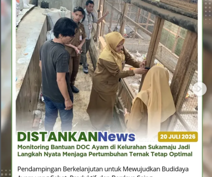Monitoring bantuan Day Old Chick (DOC) Ayam di Kelurahan Sukamaju