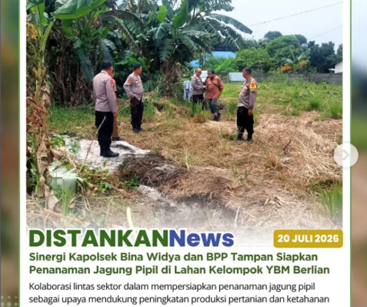 Persiapan penanaman jagung pipil melalui kolaborasi Kapolsek Bina Widya, BPP Tampan, dan Kelompok YBM Berlian