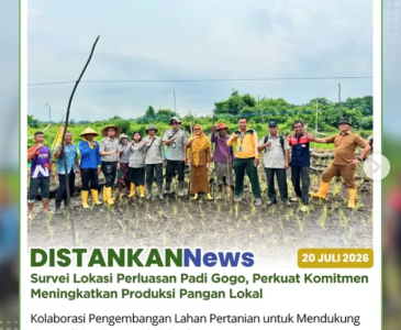 Pendampingan usaha peternakan kambing di Poktan Mustang 1