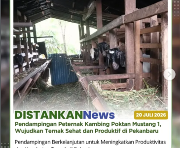 Monitoring bantuan Day Old Chick (DOC) Ayam di Kelurahan Sukamaju