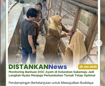Pendampingan usaha peternakan kambing di Poktan Mustang 1