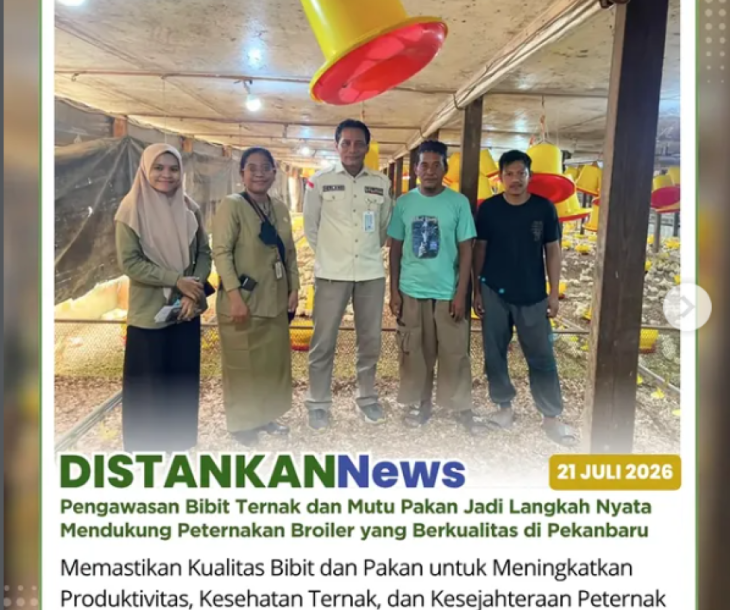 Kegiatan pengawasan bibit ternak dan mutu pakan di kandang broiler