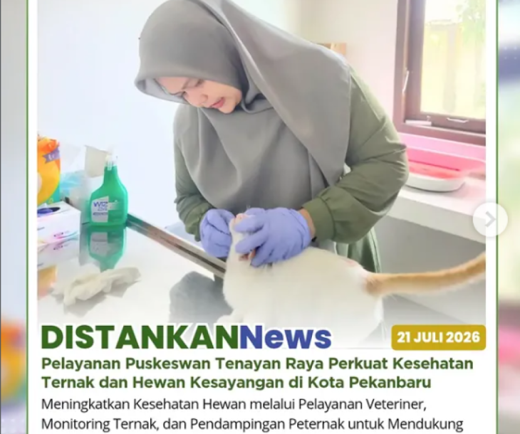 Pelayanan Kesehatan di Puskeswan Tenayan Raya