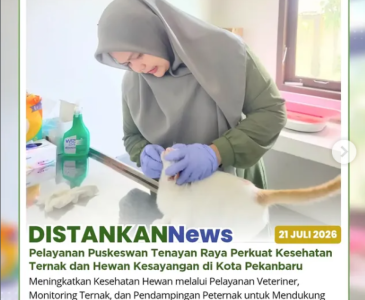 Kegiatan Sekolah Lapang Tematik Budidaya Cabai Tahun 2026