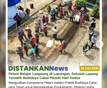 Monitoring dan Pendampingan Program Aku Hatinya PKK