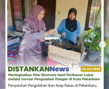 Panen Bawang Merah di lahan Kelompok Tani yang berlokasi di Kelurahan Pebatuan