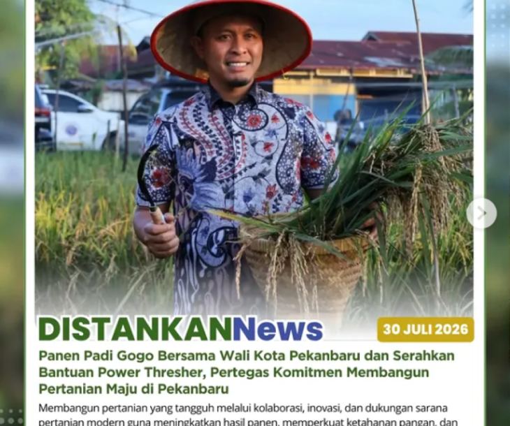 Panen Padi Gogo di Kelompok Tani Sembilan Sembilan