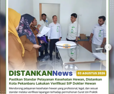Monitoring AKU HATINYA PKK di Kelurahan Kampung Dalam