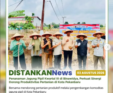 Pendampingan dan monitoring di lahan Kelompok Amara Jaya