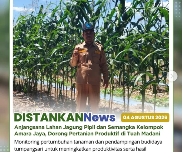 Pendampingan dan monitoring di lahan Kelompok Amara Jaya