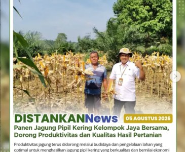 Penyaluran bantuan kepada Kelompok Tani Beringin Jaya, Kelurahan Sungai Sibam, Kecamatan Bina Widya