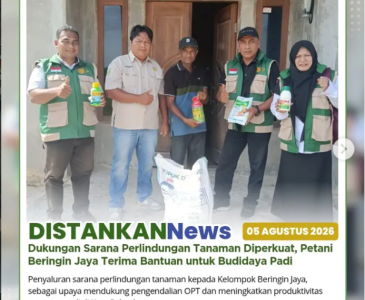 Panen jagung pipil kering dari lahan seluas 1 hektare